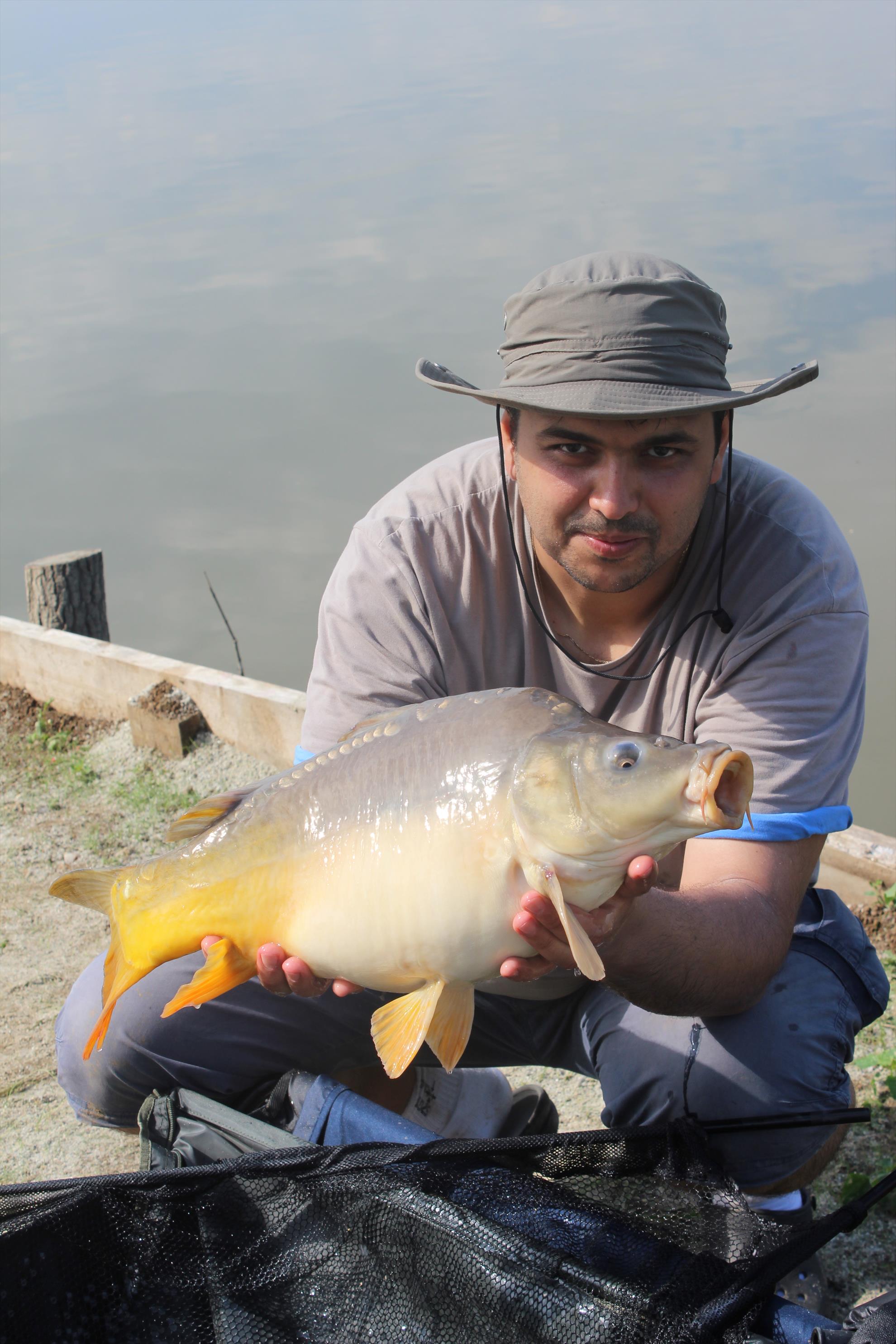 Hermes Peris 7 - 8 iunie 2014 - img7457.JPG